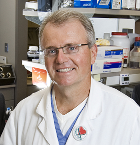 image of Scott L. Nyberg, MD, PhD